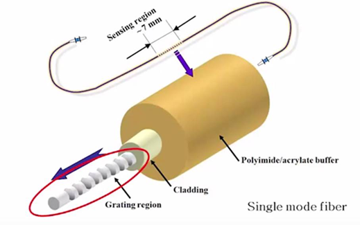 DataWise Webpage DAFBG Sensing Diagram